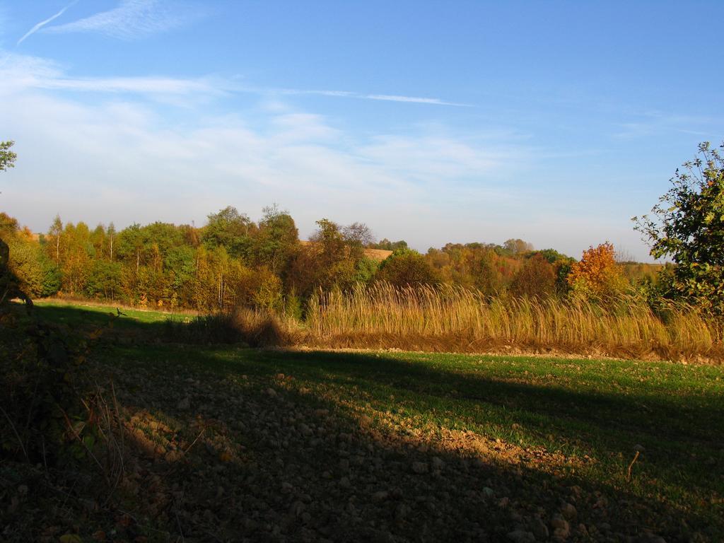 Agroturystyka Farm stay